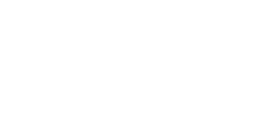 Logo LESER