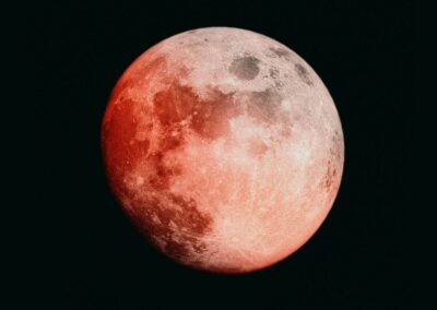 niranjan-_-photographs-CkFVjkeYloQ-unsplash (1)